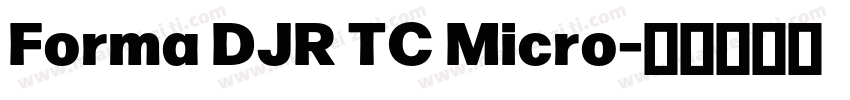 Forma DJR TC Micro字体转换